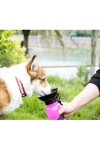 Pribor Evcil Hayvan Seyahat Suluğu