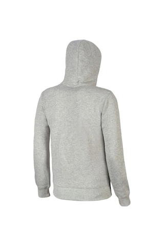 Mizuno Sweat Fermuarlı Kapüşonlu Erkek Sweatshirt Gri Çok Renkli