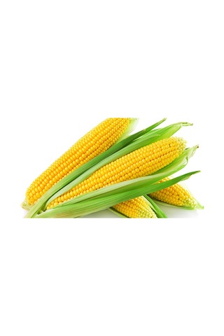 Buğday ÇeLik Ve Mısır Için Organik Hümik Asit Fullmol 20KG