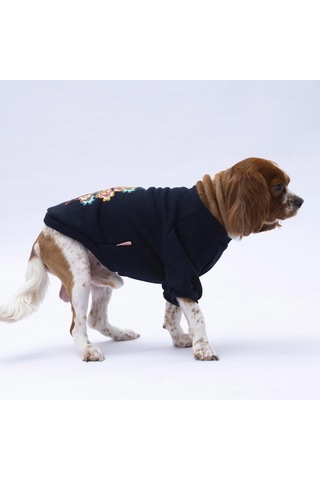 Siyah Chongqing Kedi Köpek Sweat- Kedi Köpek Kıyafeti