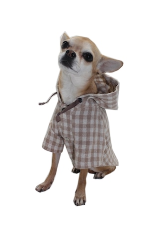 Pawstar Bej Ekose Oduncu Kedi Köpek Gömleği