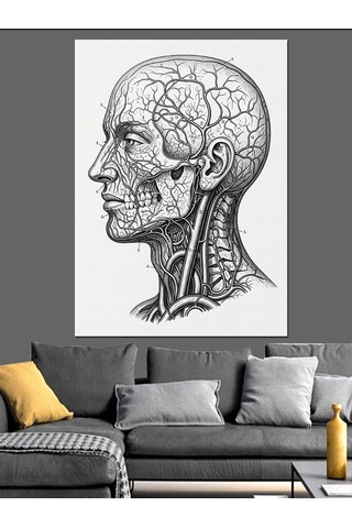 Anatomik İnsan Beyin Çizimi Dekoratif Kanvas - Mdf Ahşap Tablo