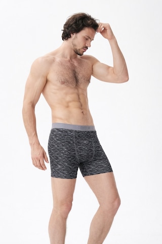 Mercan Çizgi Desenli Esnek Boxer - Gri