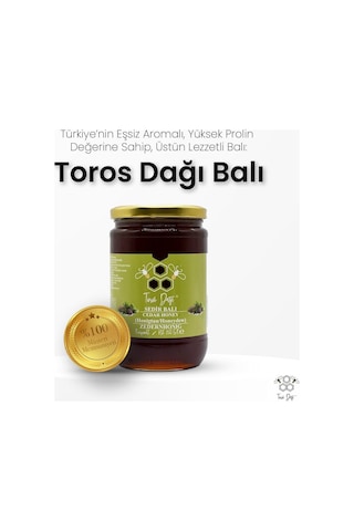 Toros Dağı Sedir Balı 860 G