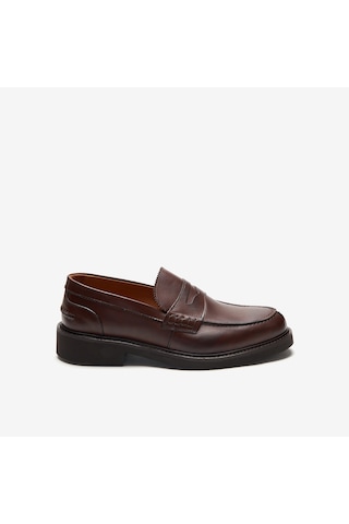 Brown Klasik Ayakkabı Erkek 442 Exton Vıenna Calf Leather Kahverengi