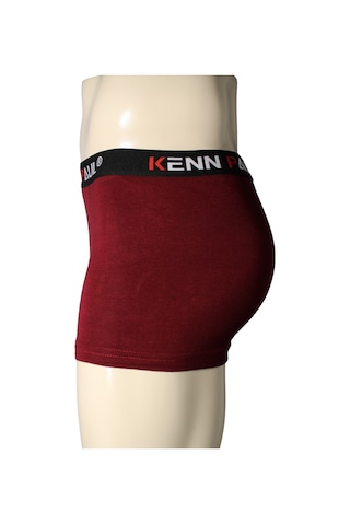Kenn Paul Erkek Bordo Bambu Boxer Rahat Kumaş Premium Boxer Çok Renkli
