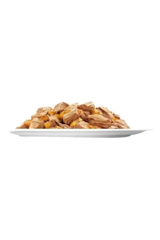 Purina Felix Somon Balıklı Konserve Yetişkin Kedi Maması 85 G
