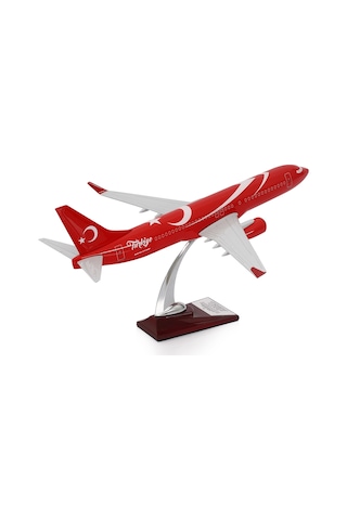Zekupp - Maket Uçak - Boeing 737-800 1/100 - TÜRKİYE ÖZEL TASARIMLI Model Uçak, Model C