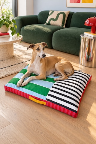 Kedi Ve Köpek Yatağı Modern Tasarımlı, Çıkarılabilir, Yıkanabilir Kılıf Rıka