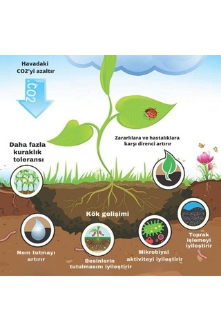 Meşe Odunu Bazlı Karbon Toprak Düzenleyici 1l Biochar 6 Mm Ve Üstü