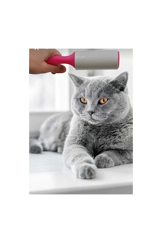 Kamptek Patili Kedi Köpek Tüy Toplama Rulosu - Yüksek Yapışkanlı Evcil Hayvan Tüy Temizleyici Roller + Kolay Soyulabilir Yapraklar 120 Yaprak 2 Adet