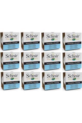 Schesir Ton Balık ve Kalamarlı Konserve Yetişkin Kedi Maması 12 x 85 G