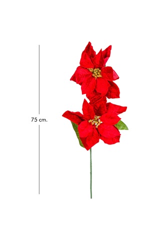 Yılbaşı Çiçeği Puansetya 2 Çiçekli Kırmızı 75 Cm.