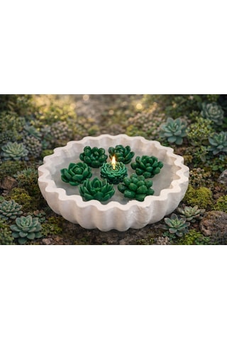 Green Lotus-el Yapımı Sukulent Mum Dekoratif Kase Beyaz-yeşil