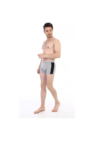 Çift Kaplan 850 Biyeli Likralı Erkek Boxer - Gri - 57 Gri