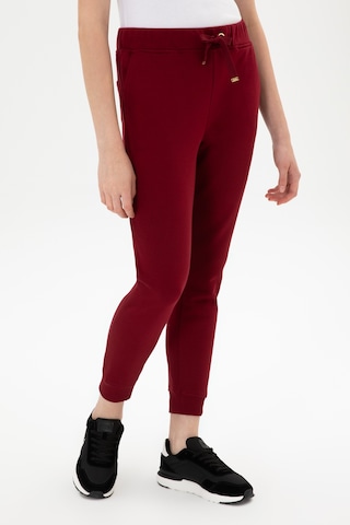 U.S. Polo Assn. Kadın Bordo Jogger Eşofman Altı 50307759-VR014