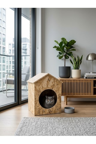 Osb Kedi Ve Küçük Köpek Evi