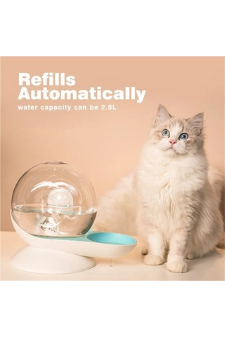 Jıalan Salyangoz Kabarcık Kedi Kediler Köpekler İçin Su Çeşmesi