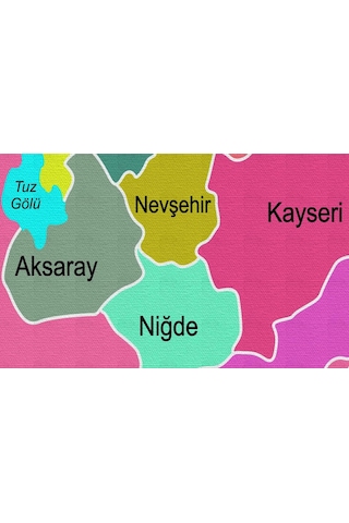 Doğaltercih Türkiye Haritası Kanvas Tablo Sınır Komşulu Eğitici ve Öğretici Dekoratif Tablo 3080