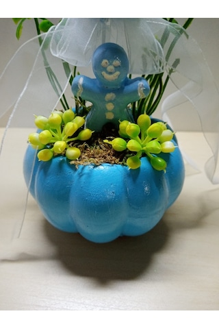 Neolife Yeni Doğan Erkek Bebek Hediyesi Doğum Tebrik Hediyesi Sevimli Tavşancık Detaylı Kabak Teraryum