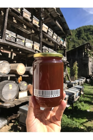 Ballivane Artvin Kestane Orman Balı 1 KG