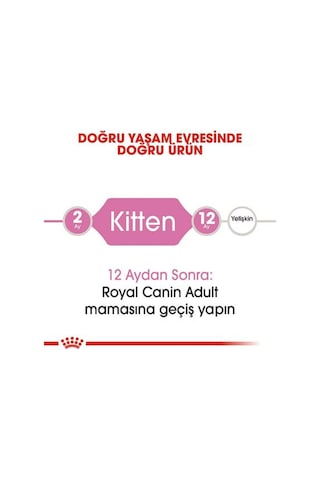 Kitten Yavru Kedi Maması - 10 Kg
