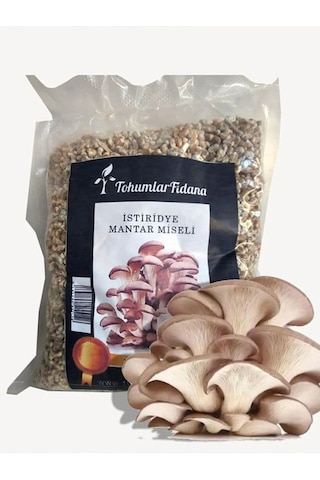 Istiridye Mantarı Miseli Tohumu Vakumlu 1 Kg Tohum 3 Adet Micro Delikli Torba Ekim Kılavuzu