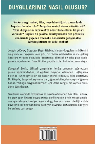 Duygusal Beyin: Duyguların Gizemli Dünyası