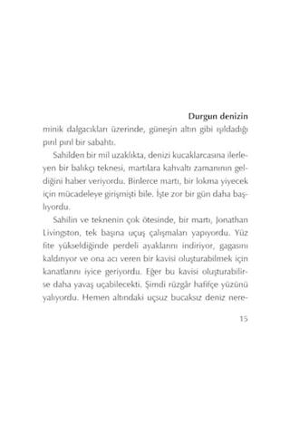 Martı Jonathan Livingston