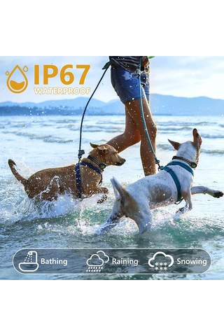 Köpek Eğitim Cihazı Köpekler İçin Havlama Tasması Su Geçirmez Ip67 Şarj Edilebilir Köpek Elektronik -siyah