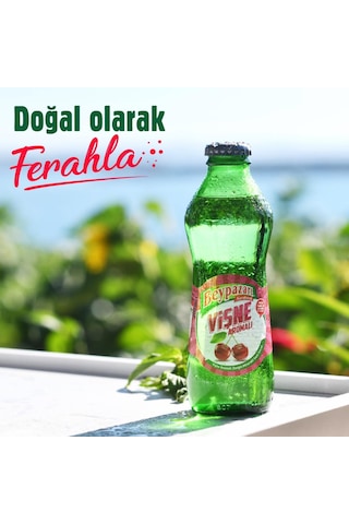 Beypazarı Vişne Aromalı Maden Suyu 200 Ml X 24 Adet