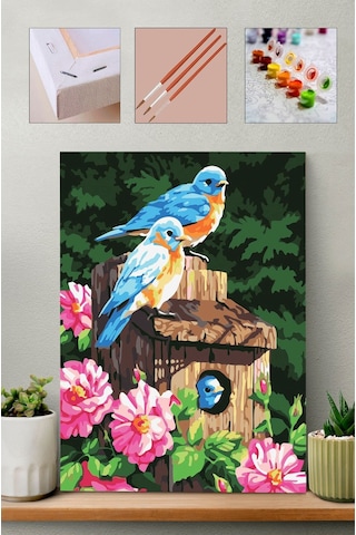 Sayılarla Boyama Seti - Mavi Kuşlar