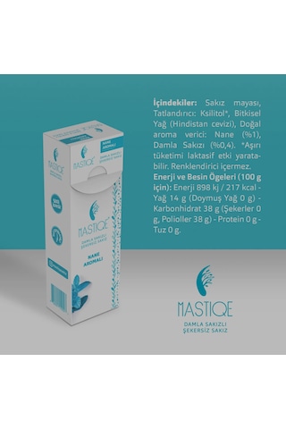 Nane Aromalı Sakız 20g X 2 Adet