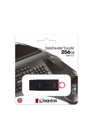 Kingston Dtx/256gb 256gb Usb3.2 Gen 1 Datatraveler Exodia Black + Pink Flash Bellek