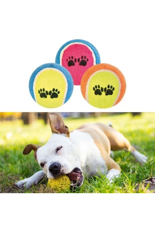 Jasmine Glow 3lü Renkli Desenli Tenis Topu Kedi Köpek Oyuncağı
