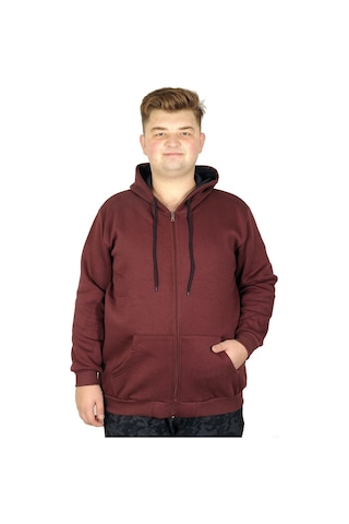 Mode Xl Erkek Sweatshirt Kapşonlu Zippered Basic 20543 Mürdüm 001