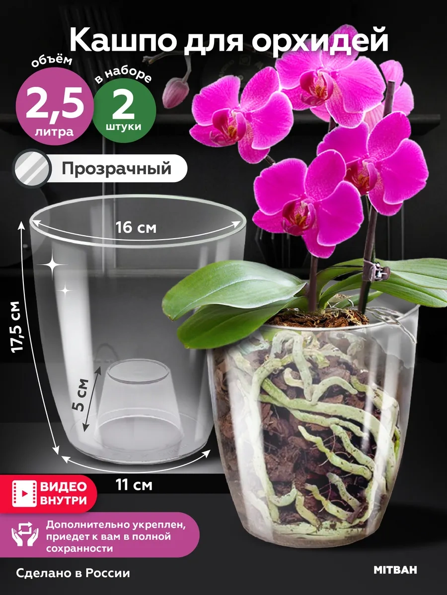 Mıtbah Şeffaf Saksı, Orkide Saksısı 162371065