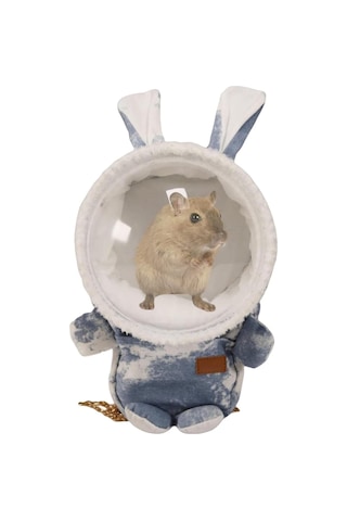 Hamster Taşıma Çantası Küçük Hayvanlar Taşıma Çantası - Birden Fazla Cepli Hamster Sırt Çantası Taşıyıcı, Küçük Hayvan Seyahatleri İçin Yan Havalandırma Tasarımlı Sağlam Ve Evcil Hayvan Taşıma Çantası
