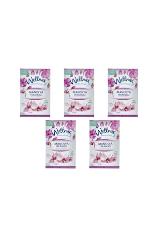 Wellnax Dolap ve Çekmece Kokusu Manolya Ferahlığı Kesesi 5 x 21 G