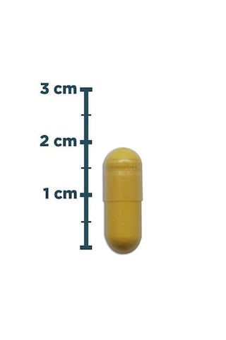 Natures Supreme Coenzyme Q10 100 Mg 60 Kapsül Aromasiz