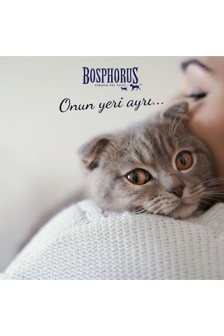 Bosphorus Sığır Ve Tavuk Etli Gurme Kedi Konservesi 415 Gr X 48 Adet Parça Etli