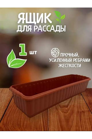 Prohoz Fide Ve Çiçekler İçin Tepsi 207487157