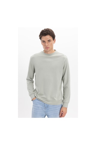 Tudors Erkek Standart Fit Normal Kesim Uzun Kollu Ekstra Soft Modal Kumaş Bisiklet Yaka Yeşil Sweatshirt-50211