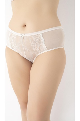 Kadın Büyük Beden Dantelli 4'lü Paket Külot Asorti-2 C4t0n5o408 001