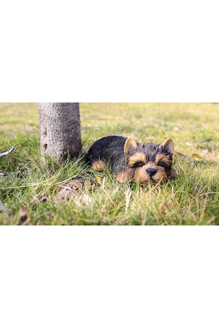 Hi- 87710-m Yorkshire Terrier Köpek Uyuyan Evcil Hayvan Dostları Heykeli Siyah Diğer