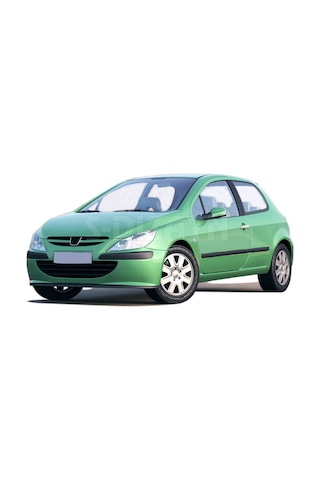 Peugeot 307 Krom Kapı Kolu 2 Kapı 2001-2008