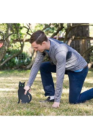 3'lü Kedi Figürü Zemin Dekorasyon Seti 2d Gerçekçi Yansıtıcı Gözlü Yavru Kedi