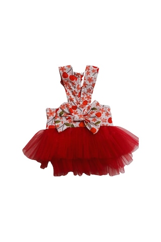 Gedyco Kirazlı Tütülü Küçük Irk Köpek Elbisesi