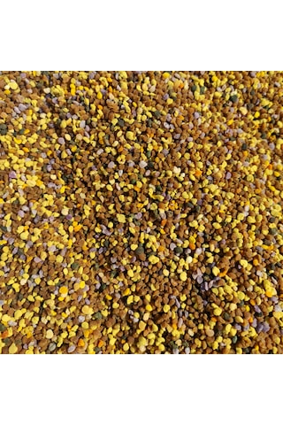 Fikret Bilir Arı Çiftliği Bahar Çiçekleri Taze Yaş Poleni 390 G