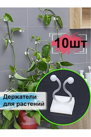 Greduha Bitki Destekleyici Duvar Askısı 10 Adet 169153641